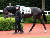 ����å��ǳ��������ɽ�����ޤ�