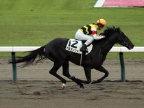 ����å��ǳ��������ɽ�����ޤ�