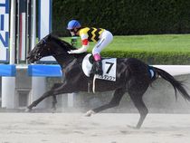 ����å��ǳ��������ɽ�����ޤ�