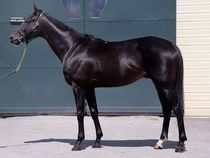 ����å��ǳ��������ɽ�����ޤ�