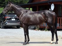 ����å��ǳ��������ɽ�����ޤ�