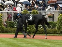 ����å��ǳ��������ɽ�����ޤ�