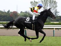 ����å��ǳ��������ɽ�����ޤ�