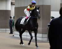 ����å��ǳ��������ɽ�����ޤ�