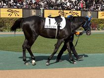 ����å��ǳ��������ɽ�����ޤ�