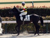 ����å��ǳ��������ɽ�����ޤ�