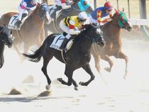 ����å��ǳ��������ɽ�����ޤ�