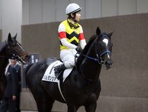 ����å��ǳ��������ɽ�����ޤ�