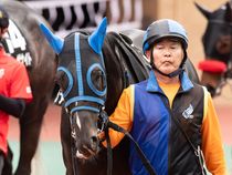 ����å��ǳ��������ɽ�����ޤ�