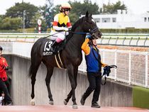 ����å��ǳ��������ɽ�����ޤ�