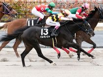 ����å��ǳ��������ɽ�����ޤ�