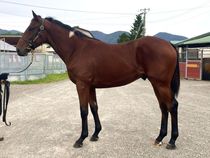 ����å��ǳ��������ɽ�����ޤ�