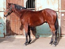 ����å��ǳ��������ɽ�����ޤ�