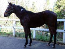 ����å��ǳ��������ɽ�����ޤ�