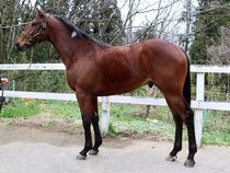 ����å��ǳ��������ɽ�����ޤ�