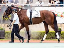 ����å��ǳ��������ɽ�����ޤ�