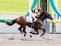 ����å��ǳ��������ɽ�����ޤ�