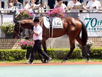 ����å��ǳ��������ɽ�����ޤ�