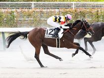 ����å��ǳ��������ɽ�����ޤ�