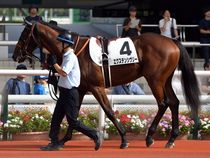 ����å��ǳ��������ɽ�����ޤ�