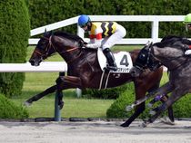 ����å��ǳ��������ɽ�����ޤ�