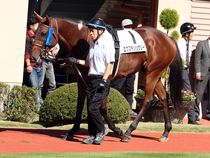 ����å��ǳ��������ɽ�����ޤ�