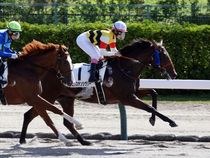 ����å��ǳ��������ɽ�����ޤ�