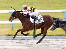 ����å��ǳ��������ɽ�����ޤ�