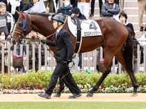 ����å��ǳ��������ɽ�����ޤ�