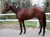 ����å��ǳ��������ɽ�����ޤ�