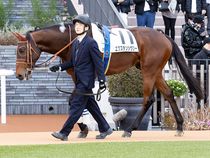 ����å��ǳ��������ɽ�����ޤ�