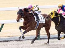 ����å��ǳ��������ɽ�����ޤ�