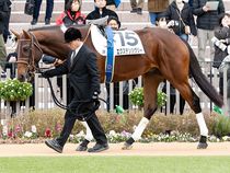 ����å��ǳ��������ɽ�����ޤ�