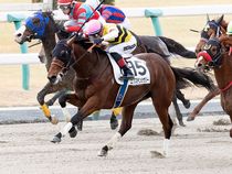 ����å��ǳ��������ɽ�����ޤ�