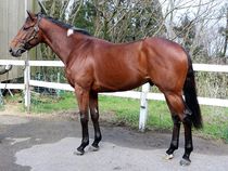 ����å��ǳ��������ɽ�����ޤ�