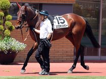 ����å��ǳ��������ɽ�����ޤ�