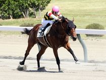 ����å��ǳ��������ɽ�����ޤ�