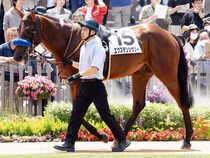 ����å��ǳ��������ɽ�����ޤ�