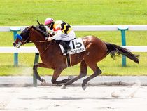 ����å��ǳ��������ɽ�����ޤ�