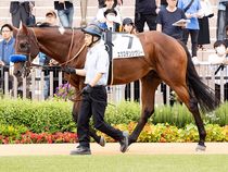 ����å��ǳ��������ɽ�����ޤ�