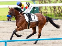 ����å��ǳ��������ɽ�����ޤ�