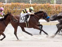 ����å��ǳ��������ɽ�����ޤ�