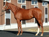 ����å��ǳ��������ɽ�����ޤ�