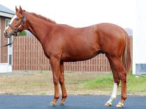 ����å��ǳ��������ɽ�����ޤ�