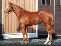 ����å��ǳ��������ɽ�����ޤ�