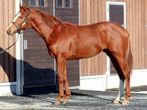 ����å��ǳ��������ɽ�����ޤ�