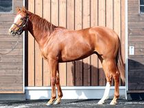 ����å��ǳ��������ɽ�����ޤ�