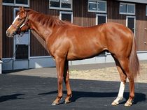 ����å��ǳ��������ɽ�����ޤ�