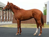 ����å��ǳ��������ɽ�����ޤ�