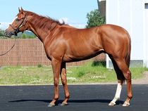 ����å��ǳ��������ɽ�����ޤ�